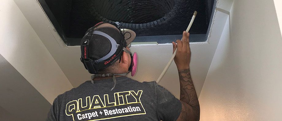 Quality Carpet Restoration