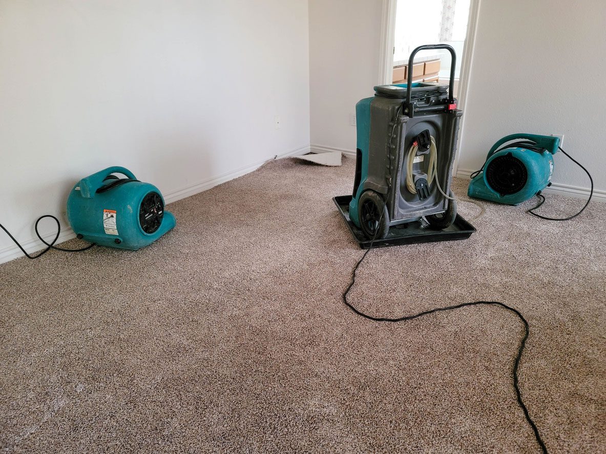 Quality Carpet Restoration