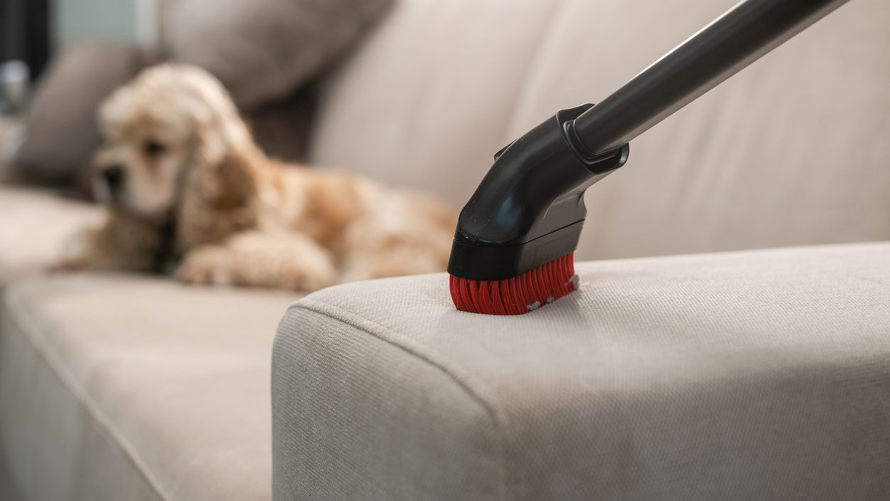 Quality Carpet Restoration