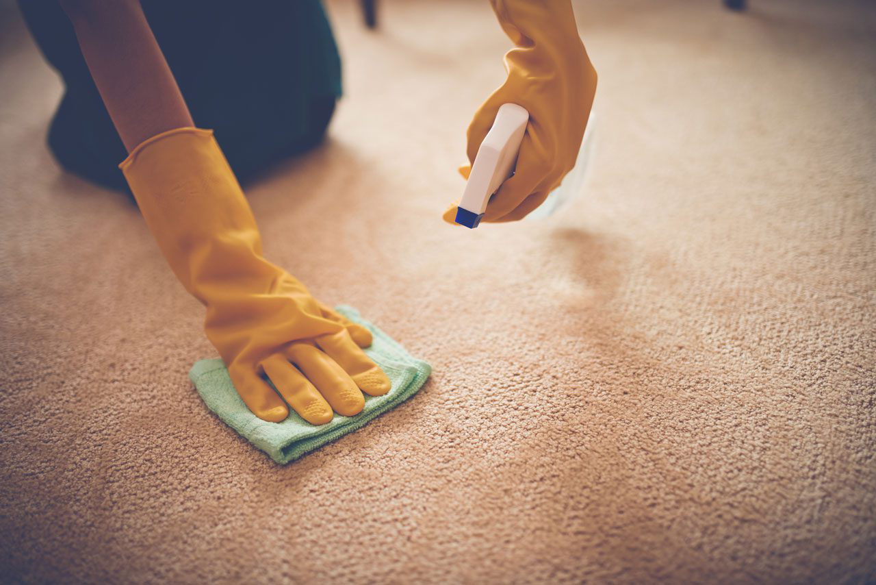 Quality Carpet Restoration