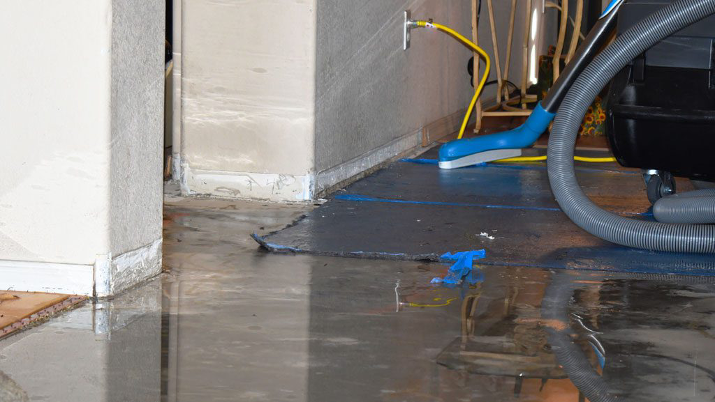 Quality Carpet Restoration
