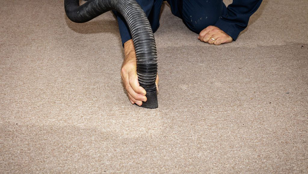 Quality Carpet Restoration